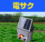 83A838B83f83B83i81E838983x838B2008817C82P2082CC83R83s815B.jpg