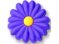 2008518163742424.jpg